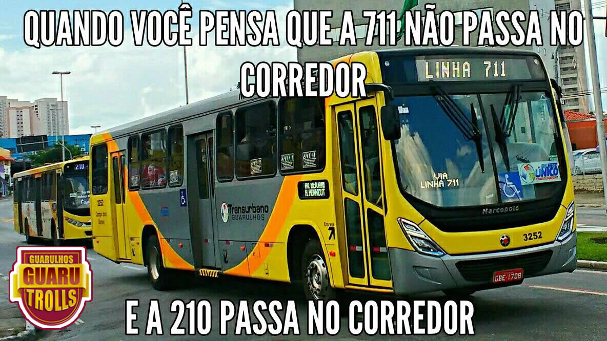 710-linha