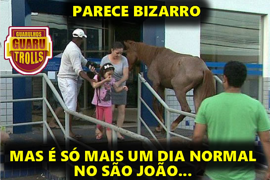 cavalo-no-sao-joao