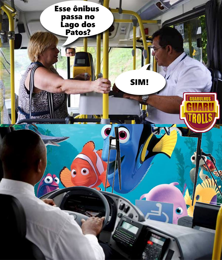 onibus-no-lago-dos-patos