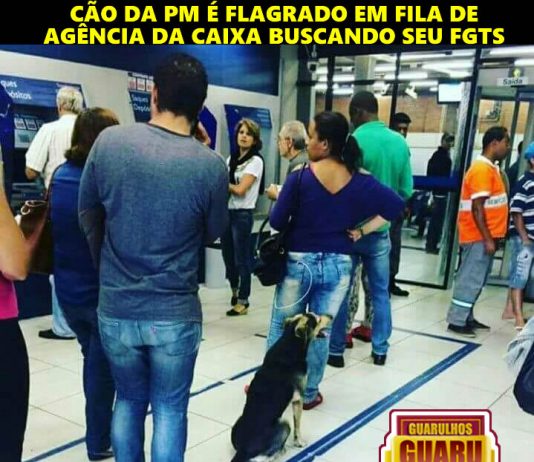 Buscando o FGTS